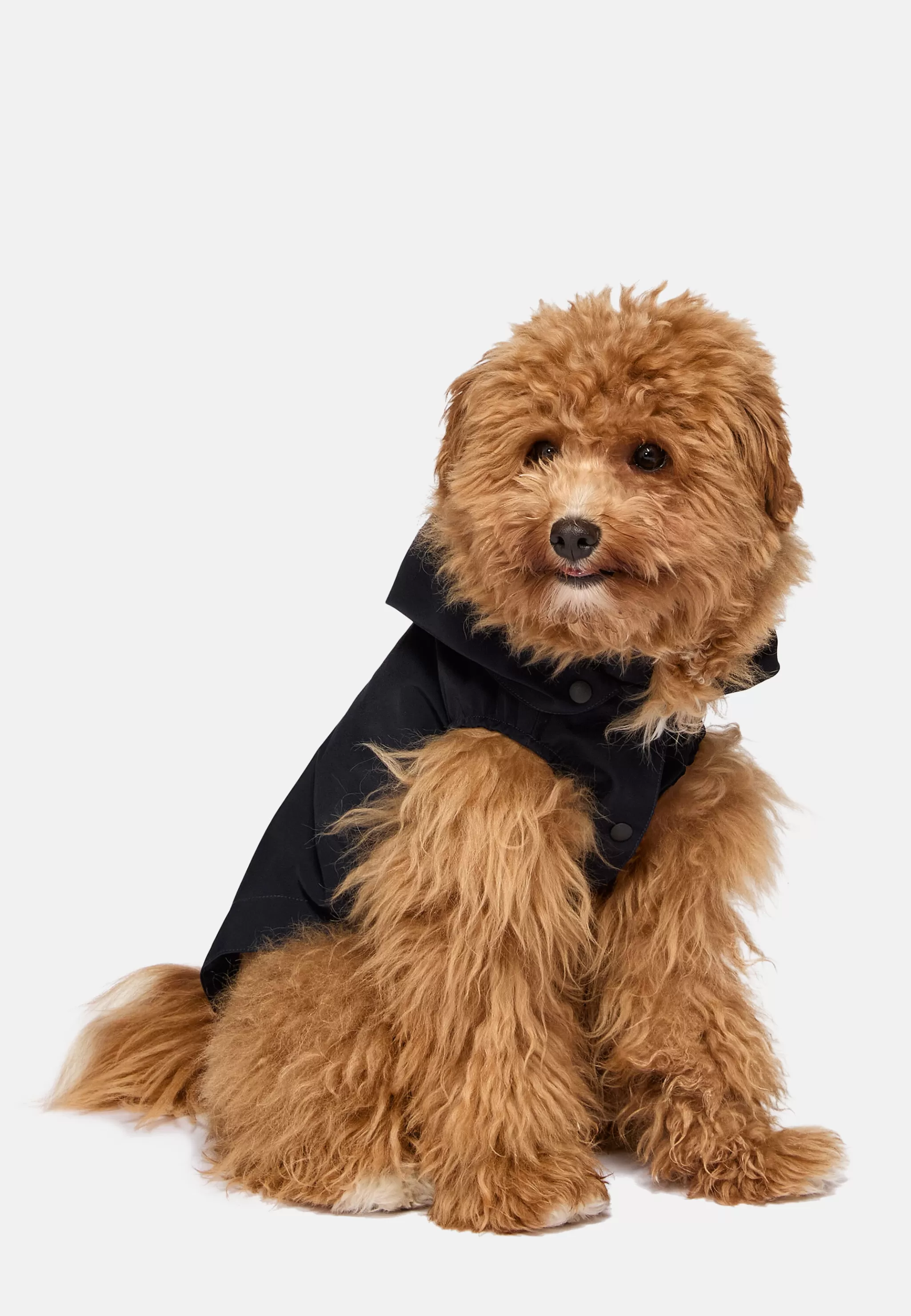 Boggi Milano Petwear*Imperméable Technique Pour Chien bleu marine