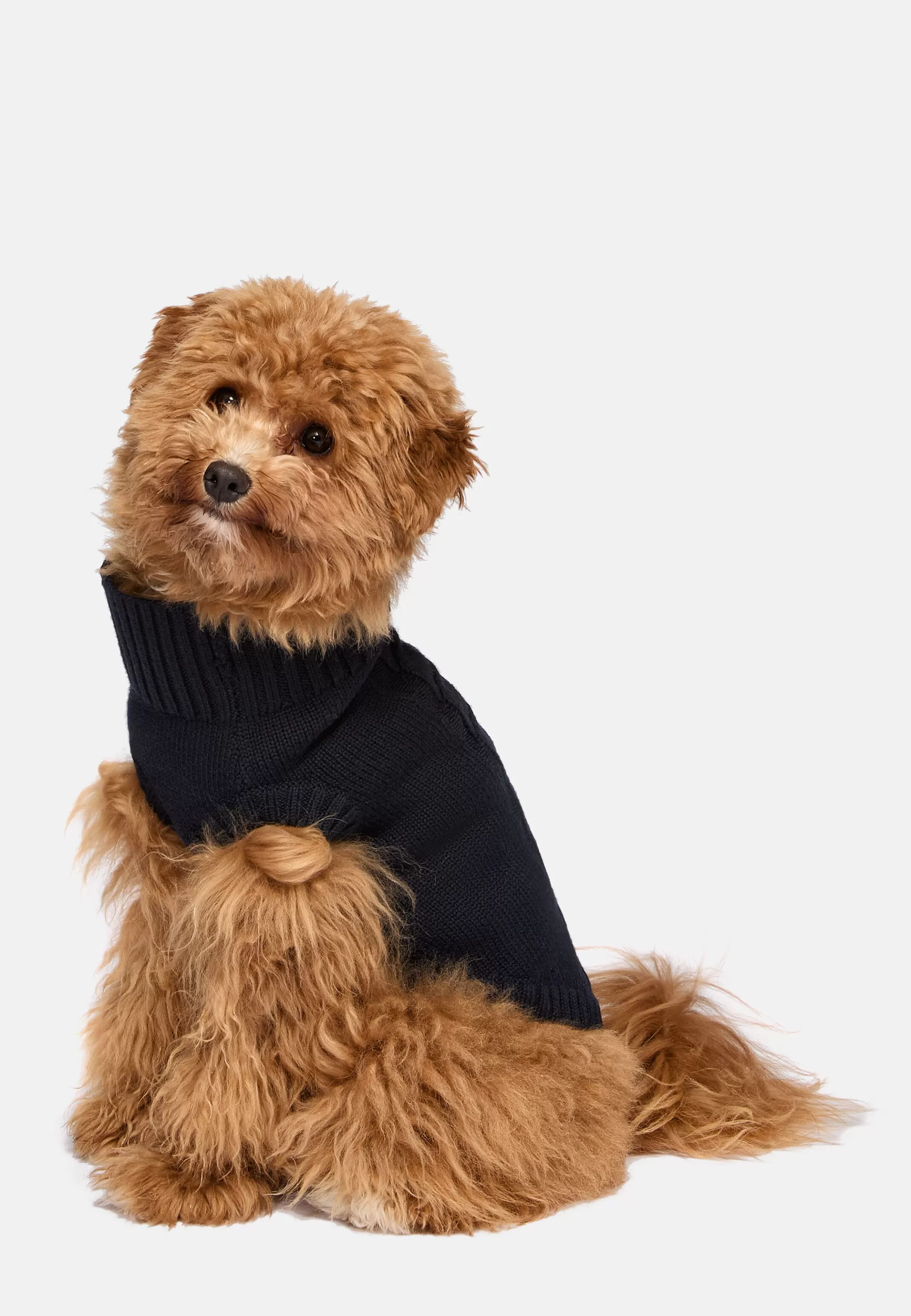 Boggi Milano Petwear*Pull Col Roulé Pour Chien En Pure Laine Mérinos bleu marine