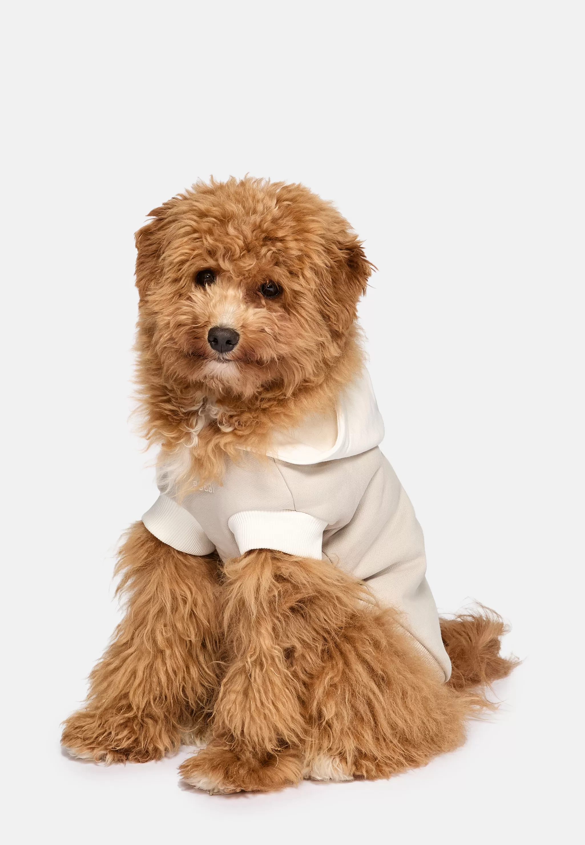 Boggi Milano Petwear*Sweat-Shirt À Capuche Pour Chien En Coton Sable